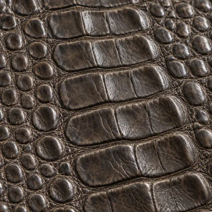 Cuero Grabado Crocodile — Tenería Díaz