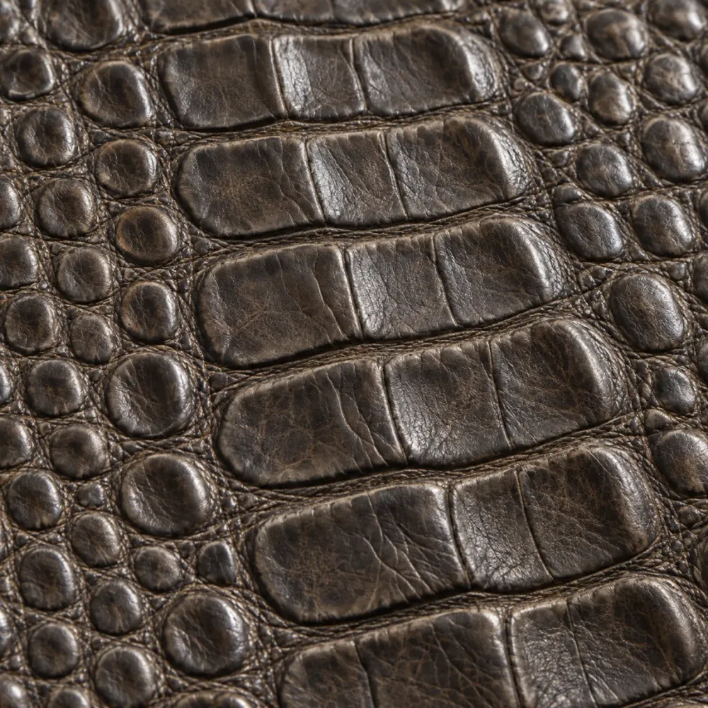 Cuero Grabado Crocodile de Tenería Díaz