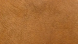 Primer plano de la flor de un cuero fino color miel, con su textura natural de borde a borde