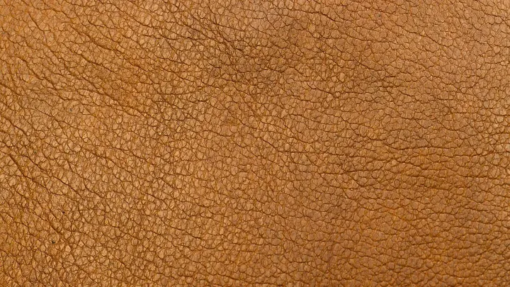 Primer plano de la flor de un cuero fino color miel, con su textura natural de borde a borde