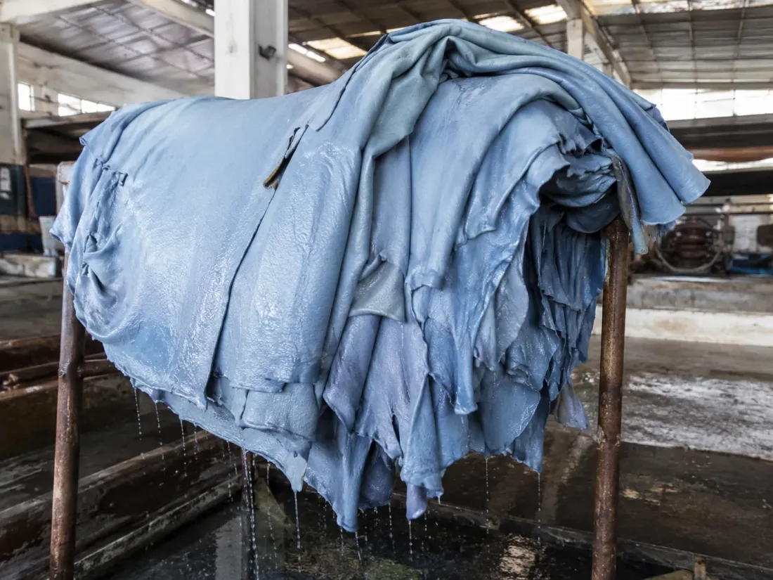 Cuero Wet Blue