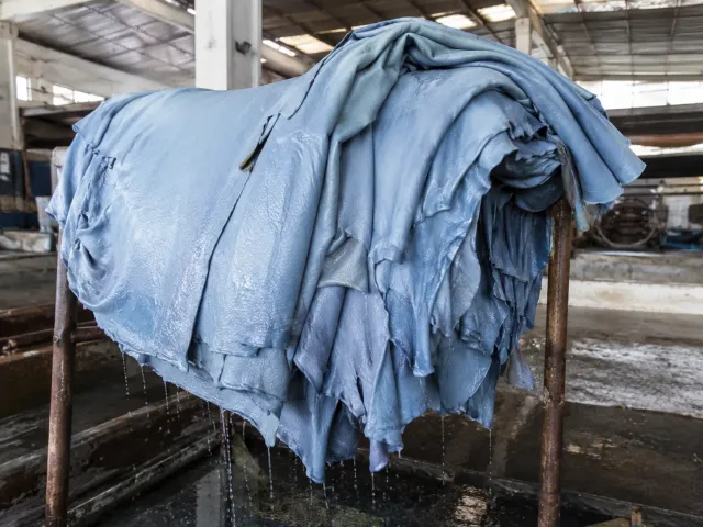 Cuero Wet Blue