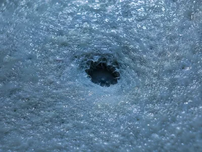 Cuero Wet Blue — detalle 2
