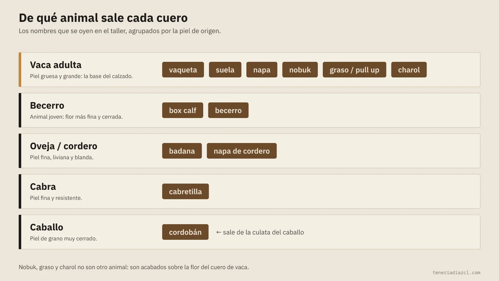 Diagrama de qué animal sale cada cuero: vaca adulta (vaqueta, suela, napa, nobuk, graso o pull up, charol), becerro (box calf), oveja (badana, napa de cordero), cabra (cabretilla) y caballo (cordobán)