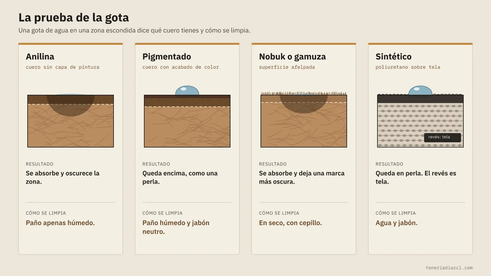 Diagrama de la prueba de la gota en cuatro cortes: anilina, pigmentado, nobuk o gamuza y sintético, con cómo se limpia el cuero de cada tipo