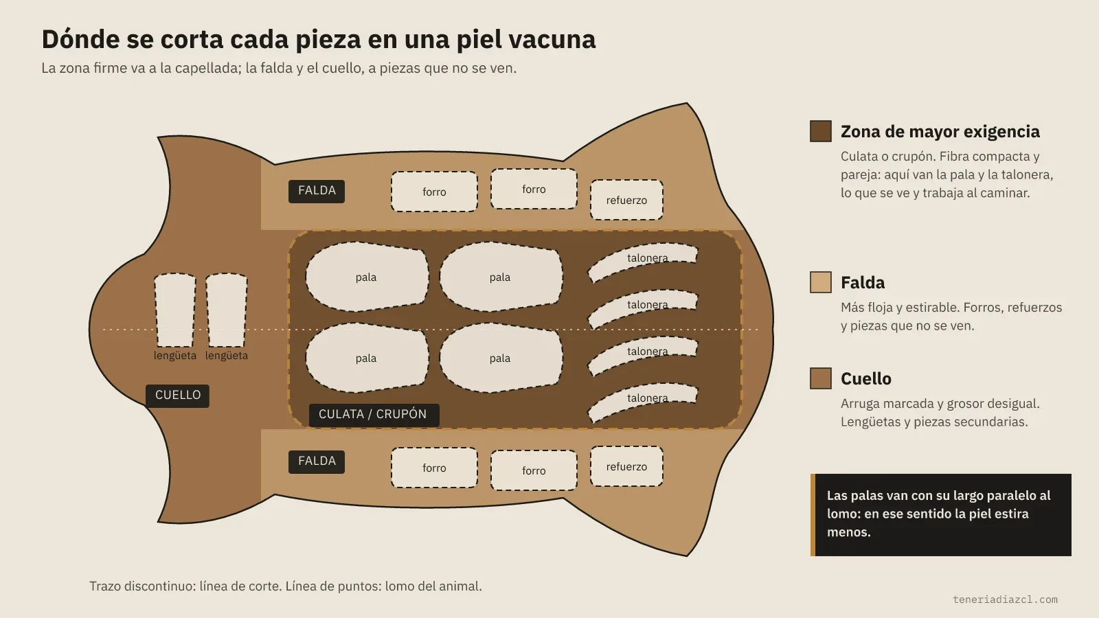 Diagrama de una piel vacuna con las piezas de un zapato colocadas para cortar: palas y taloneras en la culata o crupón, forros y refuerzos en la falda y lengüetas en el cuello