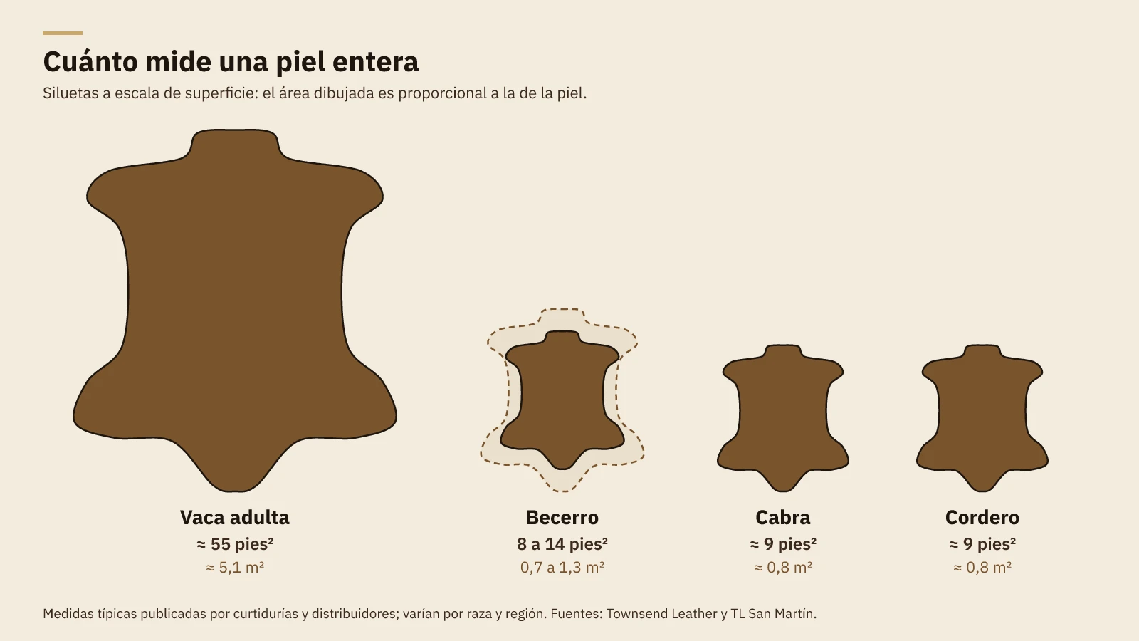 Siluetas de piel entera a escala: vaca adulta de unos 55 pies cuadrados, becerro de 8 a 14, y cabra y cordero de unos 9