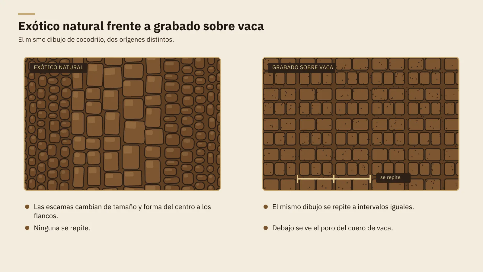Diagrama del cuero exótico natural frente al grabado sobre cuero de vaca: escamas irregulares que no se repiten contra un patrón que se repite