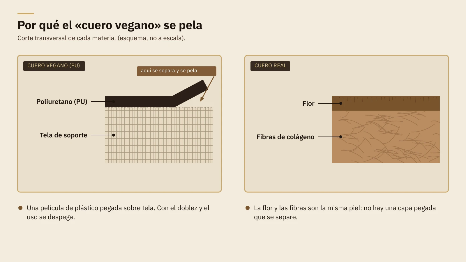 Diagrama del corte transversal de un cuero vegano de poliuretano pegado sobre tela, que se separa y se pela, frente a un cuero real donde la flor y las fibras de colágeno son la misma piel