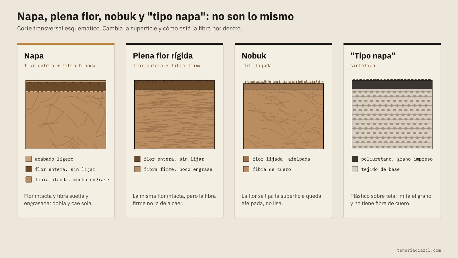Diagrama en corte de napa, plena flor rígida, nobuk y tipo napa sintético: cómo cambia la flor y la fibra de cada uno